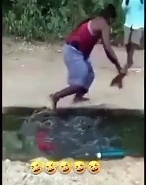 Funny Status Video