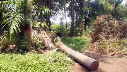 मैत्रीबाग में फूड पार्क बनाने की योजना ठंडे बस्ते में