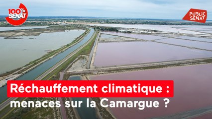 Réchauffement climatique : menaces sur la Camarque ?
