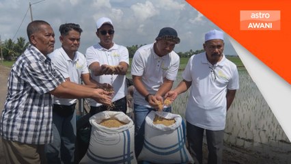 PeSAWAH mahu subsidi benih padi disalur terus kepada petani