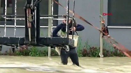 De fortes pluies ont endommagé les serres de fraises à Sinop