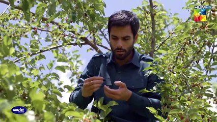 Chup Chup Kar Us Ko Dekhna !! #mawrahocane #arslannaseer #syedjibran - Neem