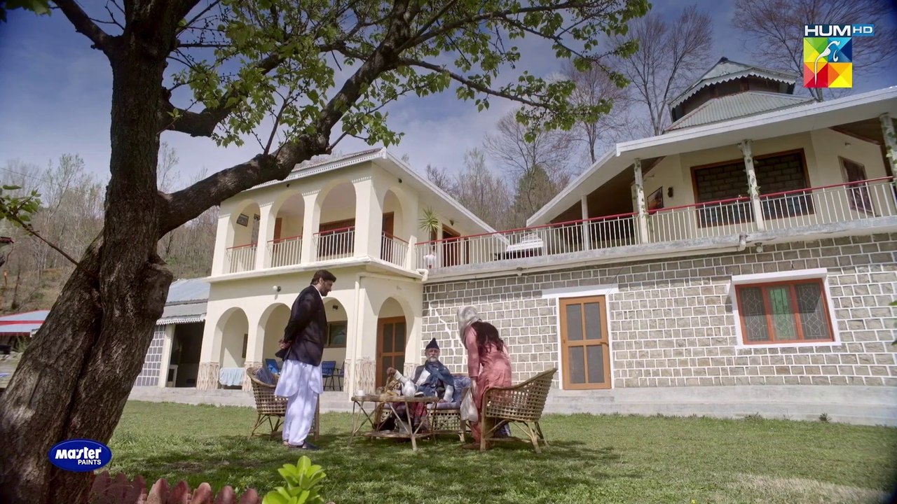 Saray Dar Nikal Dungi Tumhare !! #mawrahocane #arslannaseer #syedjibran - Neem