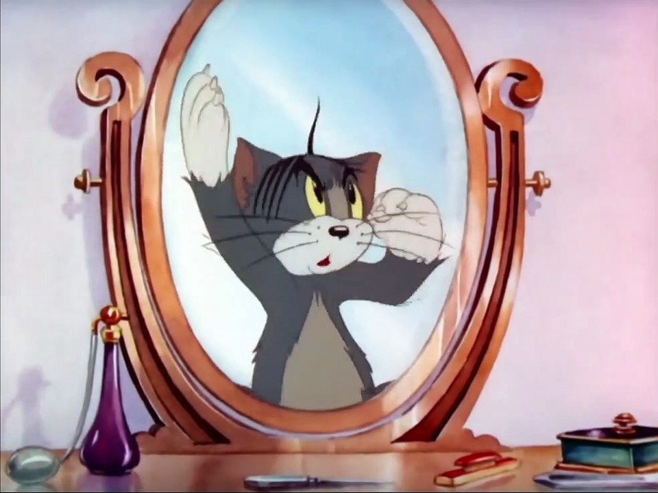 Tom and Jerry Puss N' Toots video Dailymotion