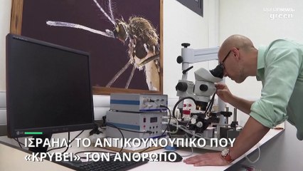 Ισραήλ: Ανακαλύφθηκε αντικουνουπικό που «κρύβει» τον άνθρωπο από τα κουνούπια