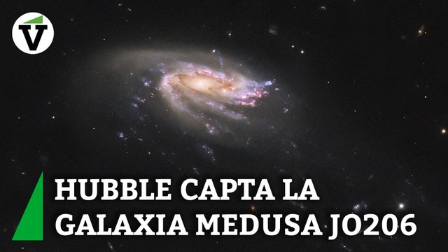 VÍDEO | El Telescopio Espacial Hubble capta una galaxia con forma de medusa