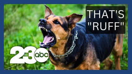 California has most dog bites against mail carriers