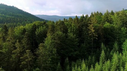 EARTH 4K - Relaxation Film - Peaceful Relaxing Music - Nature 4k Video UltraHD - OUR PLANET