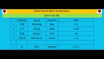 Korean language class-8 | Basic Korean vocabulary | korean word meaning | korean alfaz mani | korean vocab for topik | korean words meaning in urdu