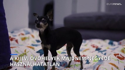 Minden negyedik kijevi óvóhely használhatatlan, vagy zárva van