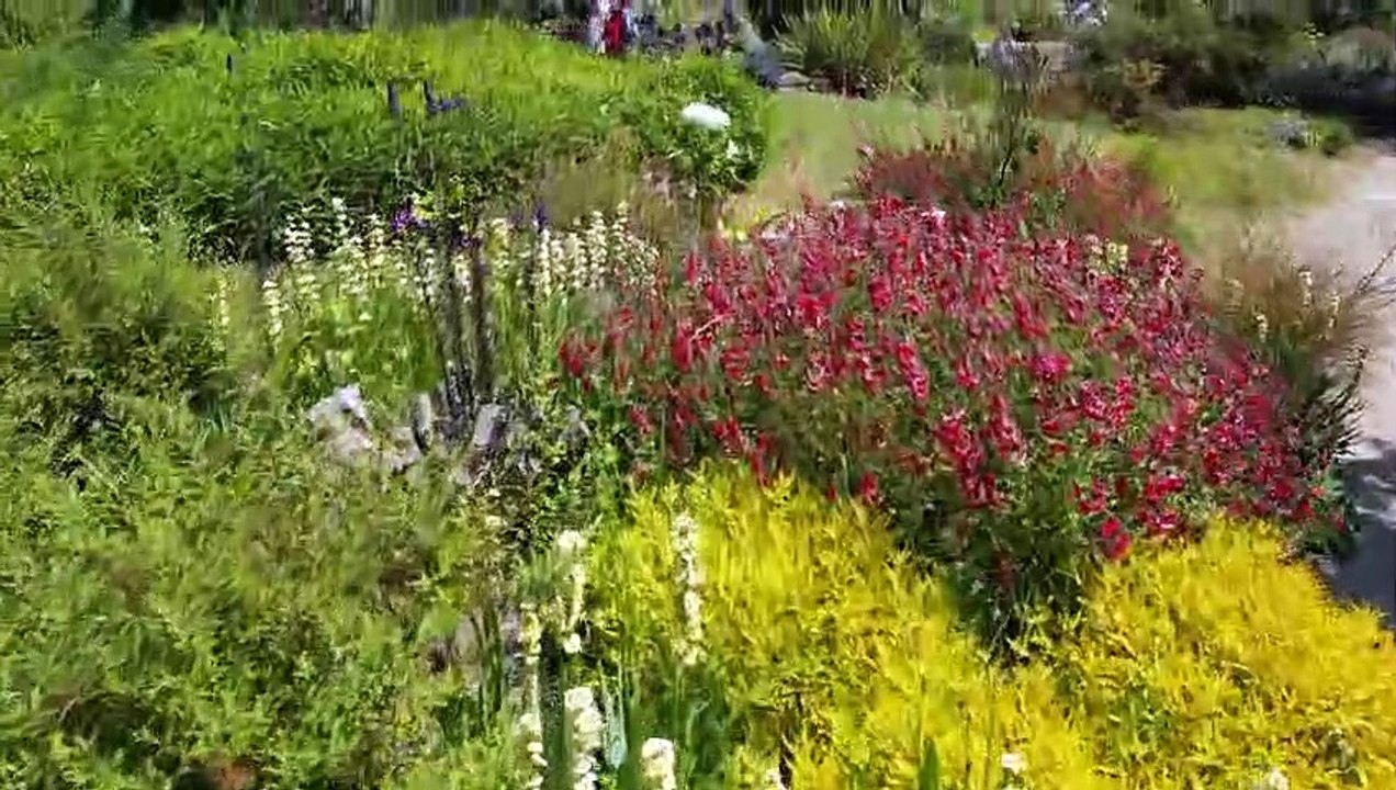 The Rock Gardens Southsea Portsmouth