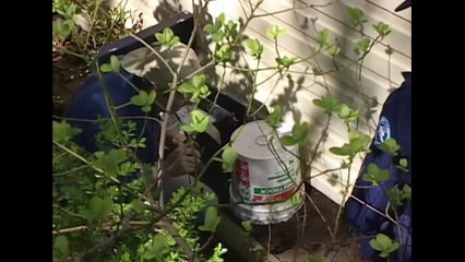 Richard Ramirez  Le Traqueur De La Nuit  Les Nouveaux Détectives  True Crime Stories