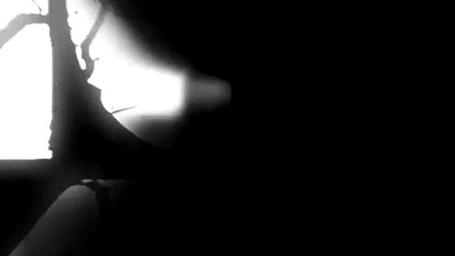 Rodrigo Cuba AMPAY Gato Cuba fue captado en discoteca con Gianella Razuri finalista del Miss Per 2023 Ale Venturo infidelidad Magaly Medina Magaly TV La Firme VIDEO Farndula La Repblica