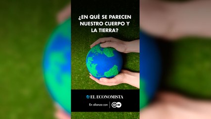 ¿En qué se parecen nuestro cuerpo y la tierra?