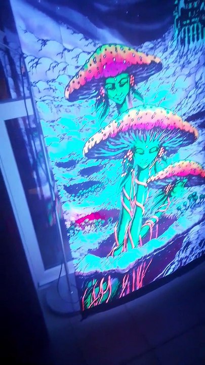 A f t e r Satur day nig ht! Cette Teinture qui me rappel une il y a presque 2 décennies. Et à côté des Jeunots, la Relève qui dansaient avec le Coeur sur la Colonne de Gauche. Un Voisin au T-shirt blanc du Samedi après-midi. Love à tous!