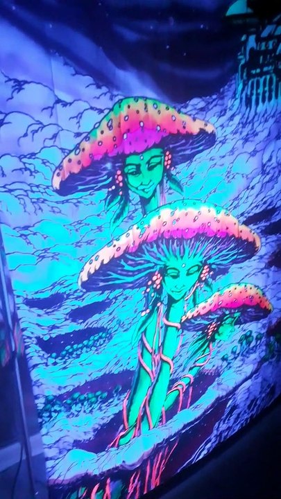 Le Son, le Visuel, cela suffit à s'evader.6 lettres pour ma date, normal. Mensonge par la suite, j'ai bien suée avant.  Dès Mélusine après 14H de route. Tout juste arrivée sur son Set. Sur la Suite et surtout lors de ramassage à la pince. Respect Cheval.