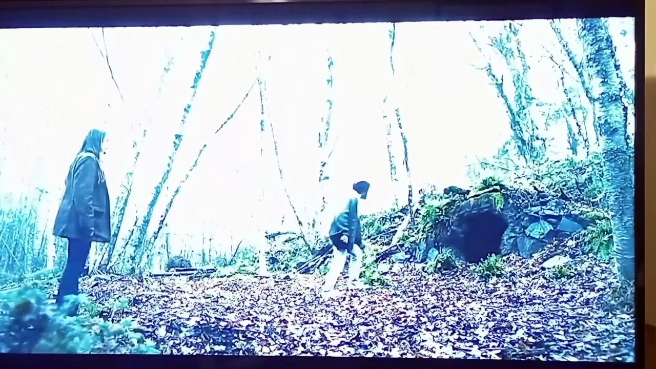From S02E08 Forest for the Trees