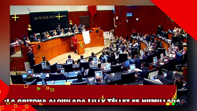 ¡VEAN! ¡La gritona alquilada Lilly Téllez, es humillada por la valiente senadora Trasviña de morena!