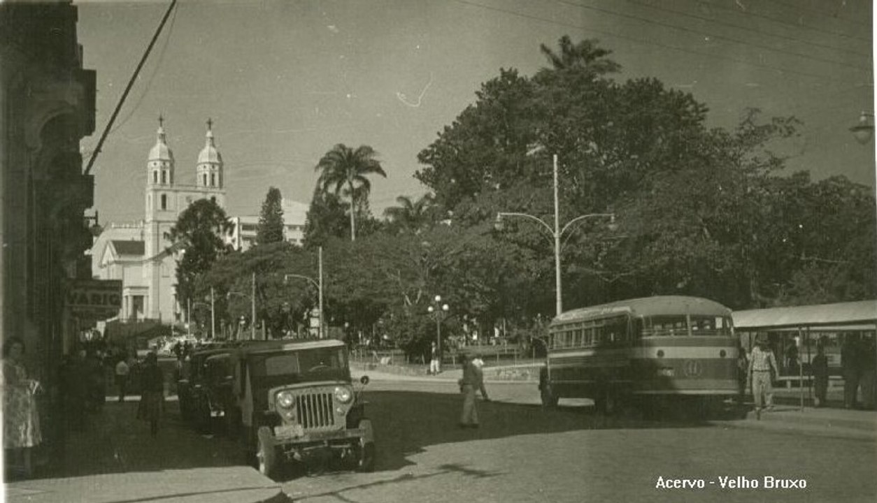 Conheça as lendas e a origem da figueira da Praça XV, em Florianópolis