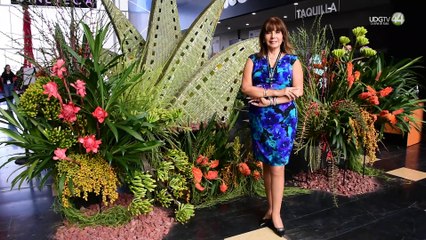 La nueva entrega de Transformers, una historia desarrollada en tierras peruanas