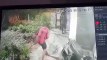 Video : झांसी में एक साथ 5 घरों में चोरी की वारदात, चोर CCTV में कैद