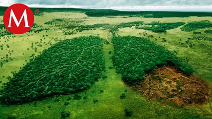 Huella ambiental, un indicador que no se debe ignorar
