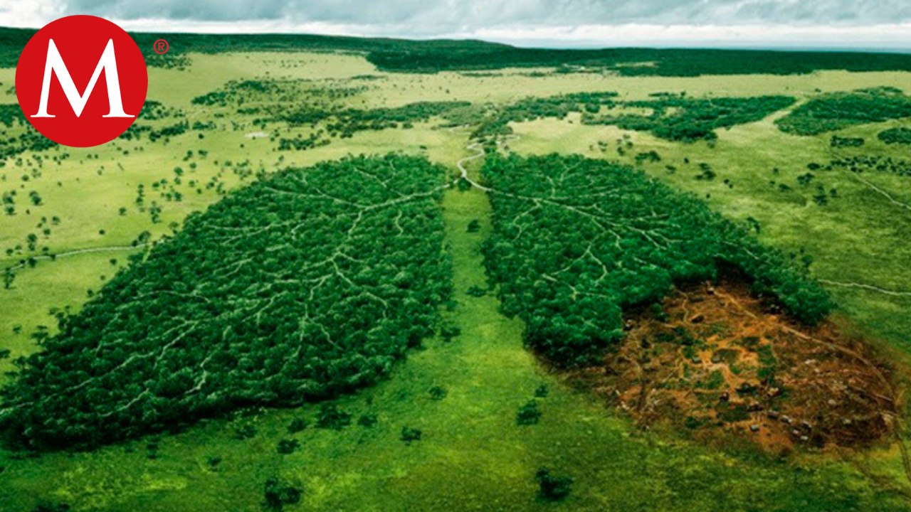 Huella ambiental, un indicador que no se debe ignorar