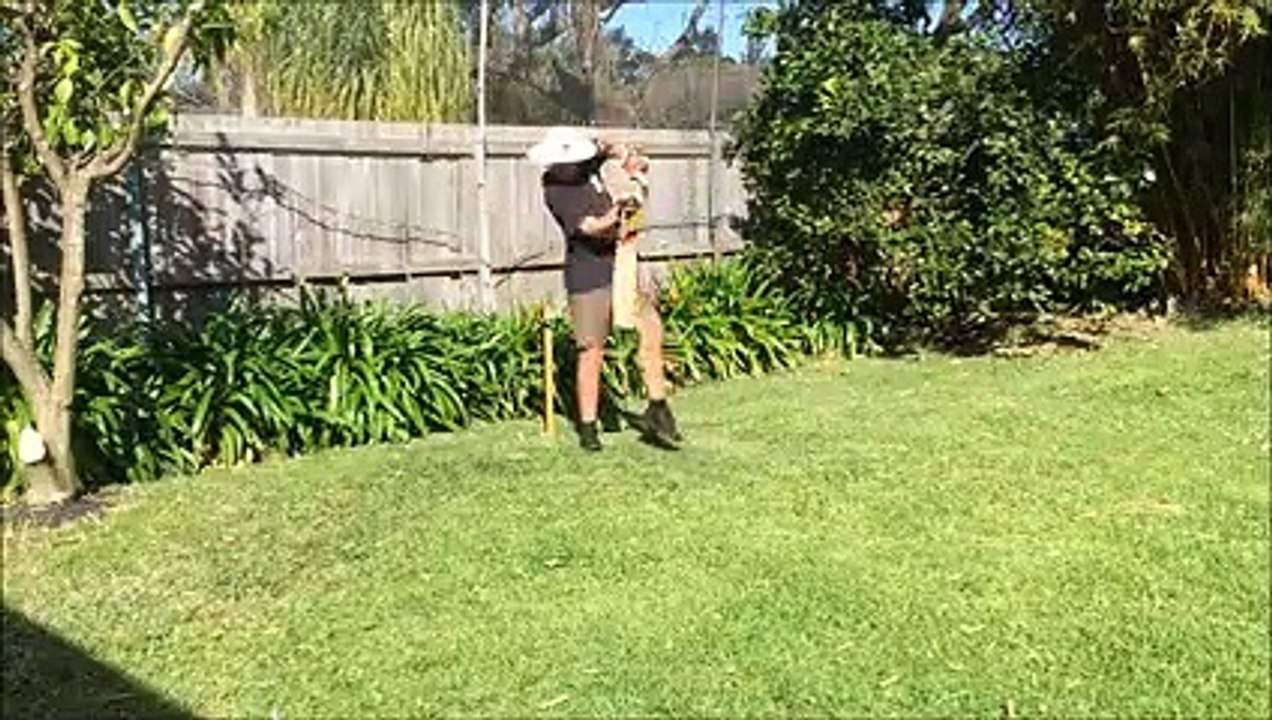 Backyard cricket hit out