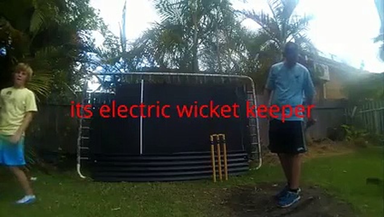 backyard cricket make your decision #3