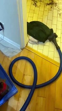 Hidden Shower Found Behind Leaking Bathroom Wall