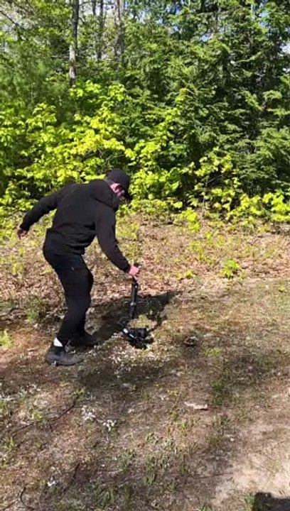 Behind the Scenes of Majestic Baby Duck Running in Flowers