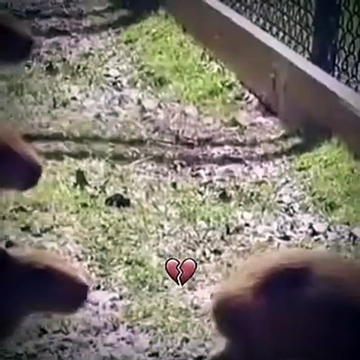 Wow