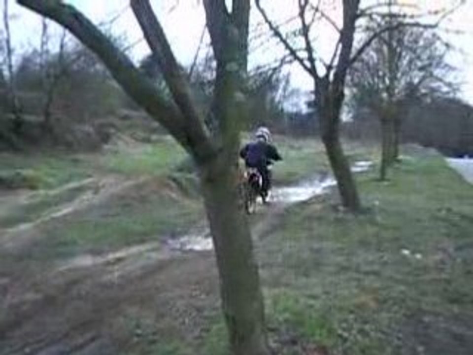31