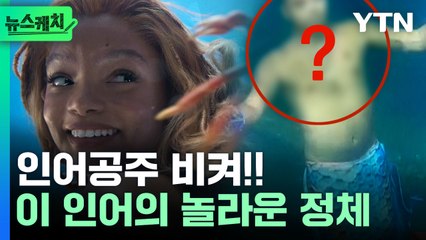 에리얼도 깜짝 놀란 이 '인어'의 정체 [뉴스케치] / YTN