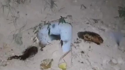 बुलंदशहर: फरीदाबाद से अपह्रत दूसरे युवक की अपहरणकर्ताओं ने कर दी थी हत्या, मिट्टी में दबा मिला शव