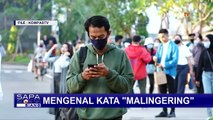 Pura-Pura Sakit untuk Menghindari Tanggung Jawab, Namanya 'Malingering'! - SELASA BAHASA