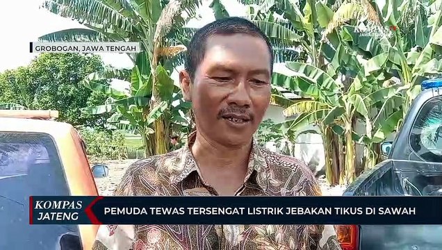 Pemuda Tewas Tersengat Listrik Jebakan Tikus di Sawah