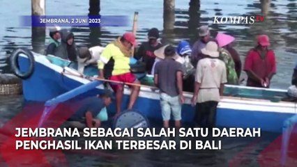 Sedapnya Bedetan Perancak Khas Jembrana, Cocok Temani Nasi Panas