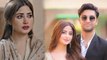 Pakistani Drama Actress Salaj Aly Husband Ahad Raza Mir Divorce Truth Reveal | Boldsky