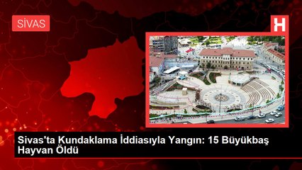 Sivas'ta Kundaklama İddiasıyla Yangın: 15 Büyükbaş Hayvan Öldü