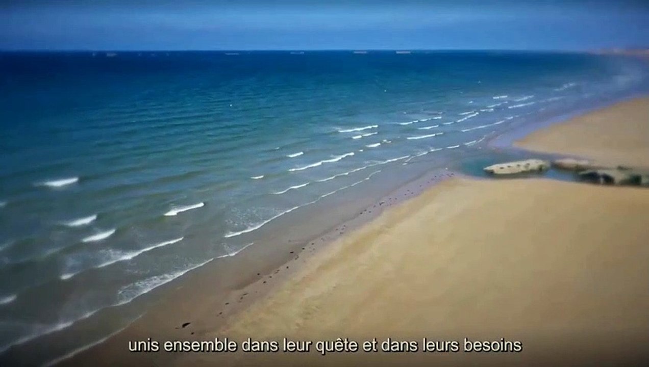 ⚪️79ème anniversaire du débarquement en Normandie - 6 juin 1944 ⚪️