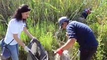 Fethiye Kuş Cenneti'nde Dünya Çevre Günü kapsamında temizlik etkinliği yapıldı