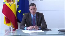 Una ONG alemana promueve un boicot contra las fresas de Huelva para defender Doñana