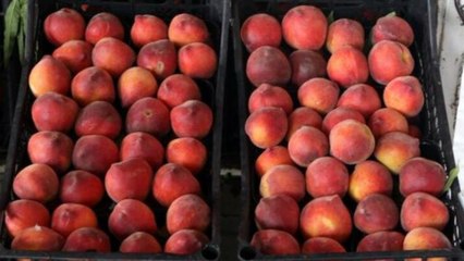 Halde 7 lira, markette 27 lira