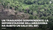 Un traguardo sorprendente: la deforestazione dell'Amazzonia ha subito un calo del 68%