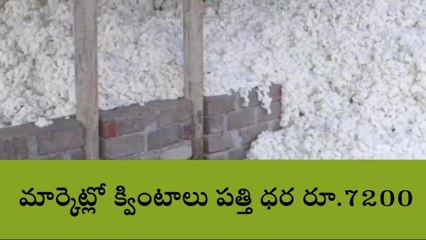 ఆసిఫాబాద్: అటు ఇటుగా ధరలు.. అయోమయంలో పత్తి రైతులు