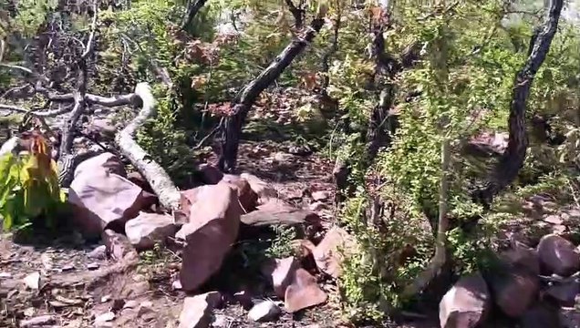 Case of road construction on hill in Jhalawar district