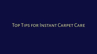 Top Tips for Instant Carpet Care