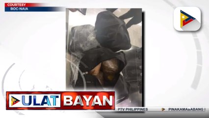 Download Video: 2 drug suspects, arestado sa magkakahiwalay na anti-illegal drug operation