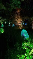 Jour 12 - Osaka & Teamlab forest